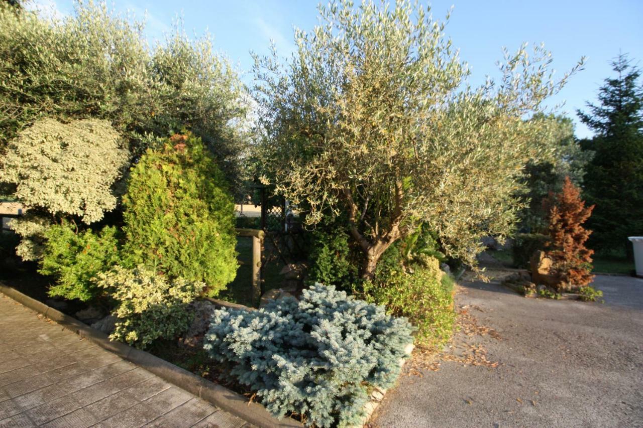 Bed and Breakfast Il Casale Di Nonno Guido Monterado Exterior foto